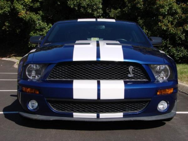 shelby8